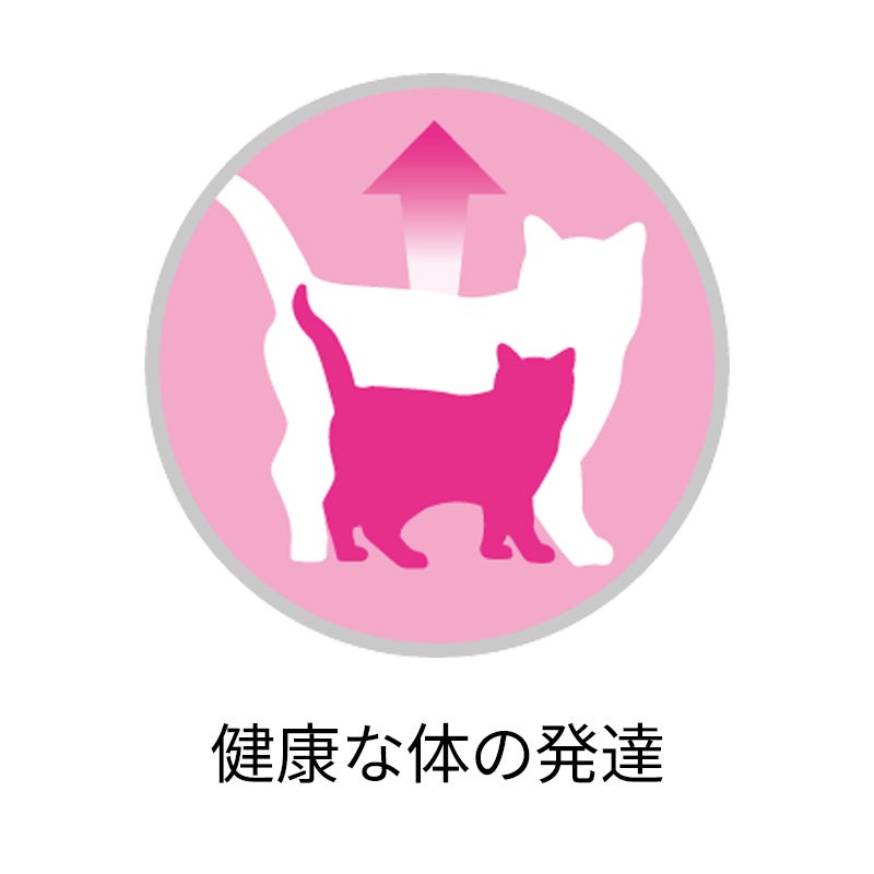 1歳までの子ねこ用 / 妊娠・授乳期の母猫用 チキン - ピュリナ ワン
